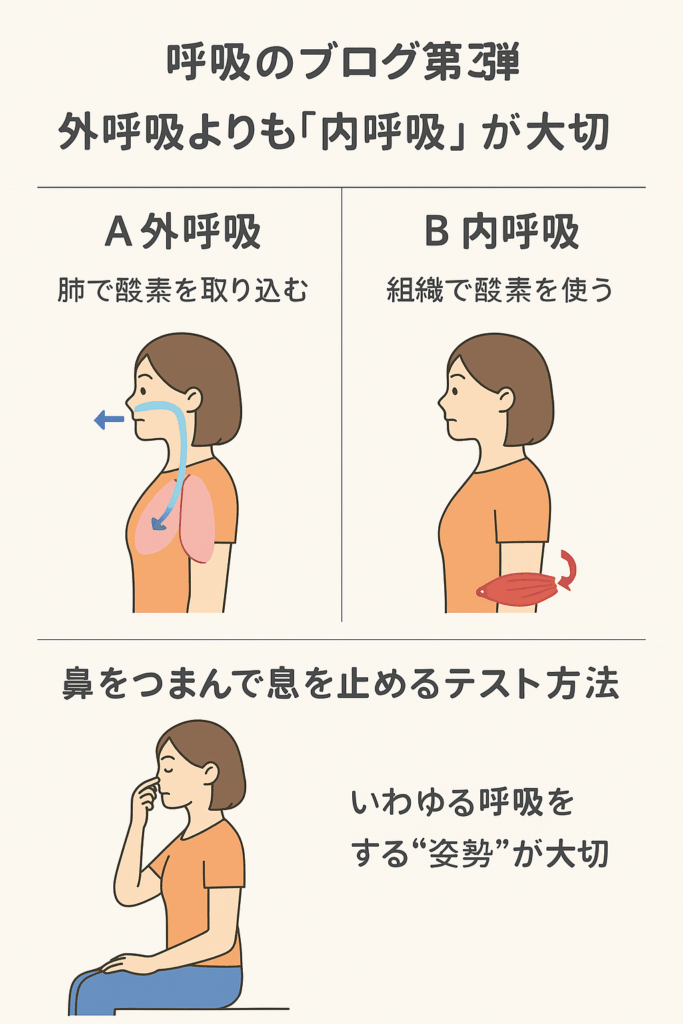 外呼吸と内呼吸